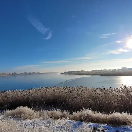 Papaja Caloroczny Na Wyspie Sobieszewskiej