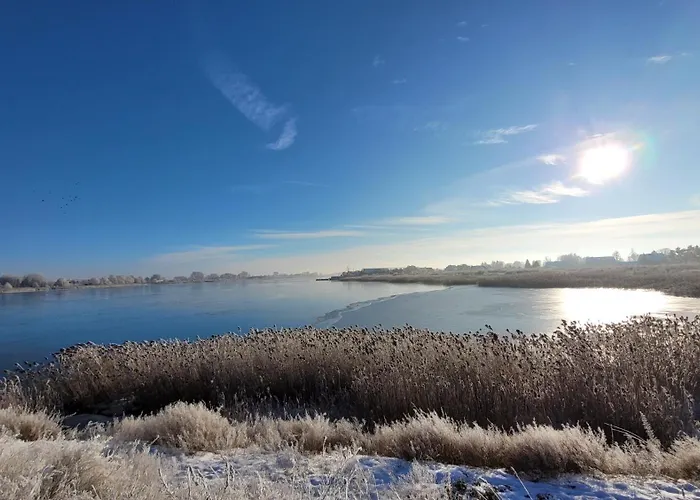 Papaja Caloroczny Na Wyspie Sobieszewskiej